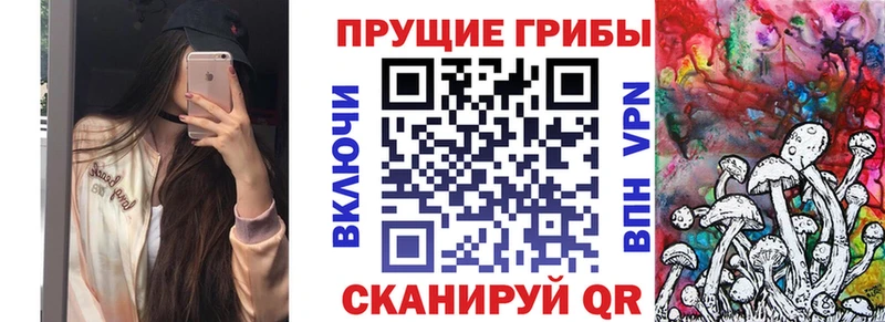 Псилоцибиновые грибы GOLDEN TEACHER  наркотики  hydra ссылки  Полесск 